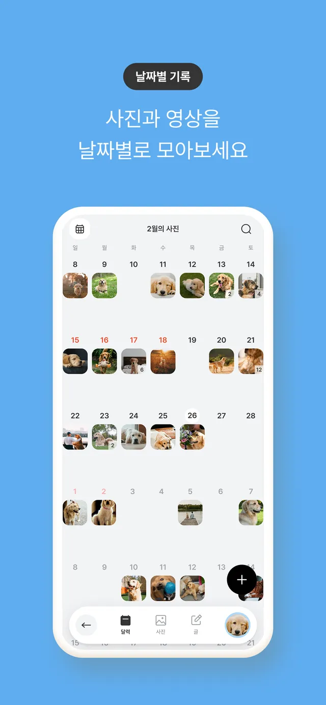 평범한 오늘을, 사라지지 않게
